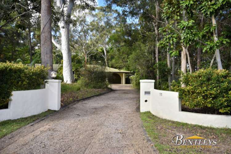 Main view of Homely house listing, 11 Casuarina Drive, Little Mountain QLD 4551