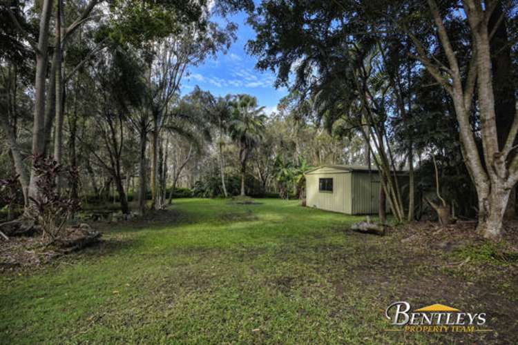 Third view of Homely house listing, 11 Casuarina Drive, Little Mountain QLD 4551