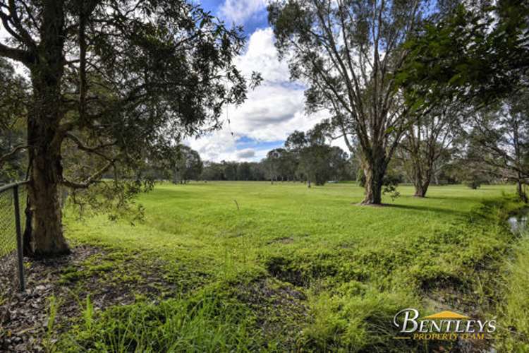 Fourth view of Homely house listing, 11 Casuarina Drive, Little Mountain QLD 4551