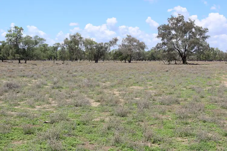 Fourth view of Homely rural property listing, Bullarah/Moree, Moree NSW 2400