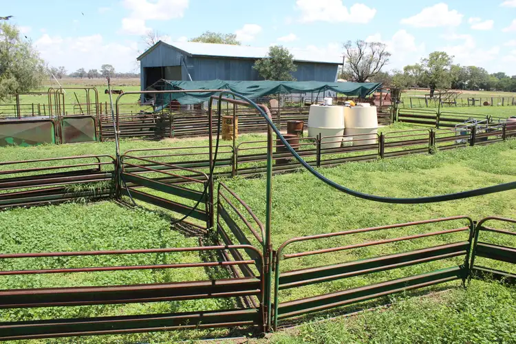 Seventh view of Homely rural property listing, Bullarah/Moree, Moree NSW 2400