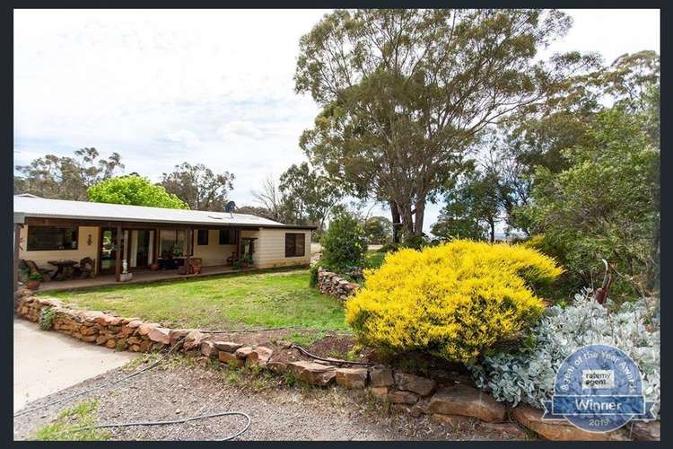 Third view of Homely ruralOther listing, 181 Castle Hill Road, Biala NSW 2581