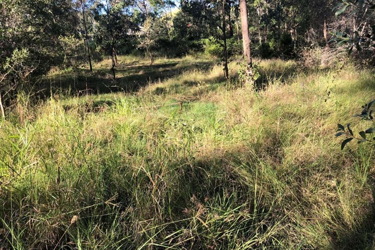 Main view of Homely residentialLand listing, 181 Fishermans Pocket No 1 Road, Chatsworth QLD 4570