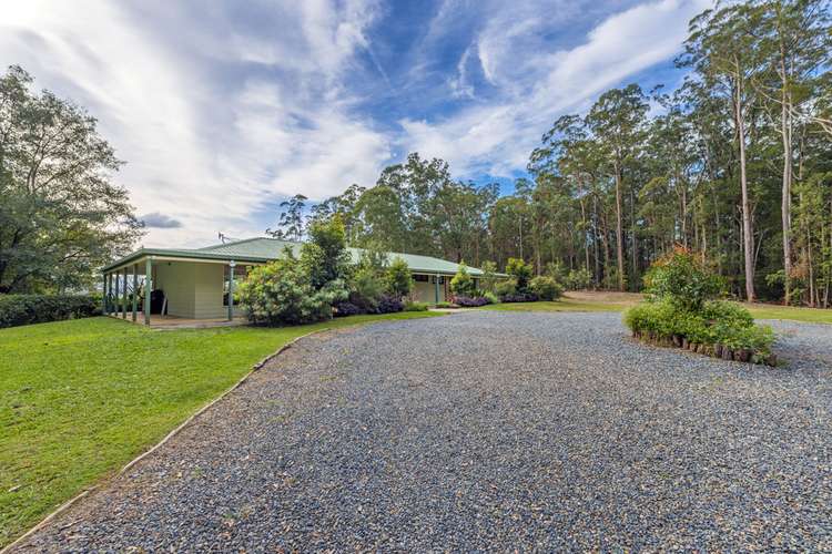 Second view of Homely acreageSemiRural listing, 212 Mount Street, Bellingen NSW 2454