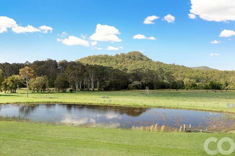 Fourth view of Homely acreageSemiRural listing, 1175 Dooralong Road, Dooralong NSW 2259