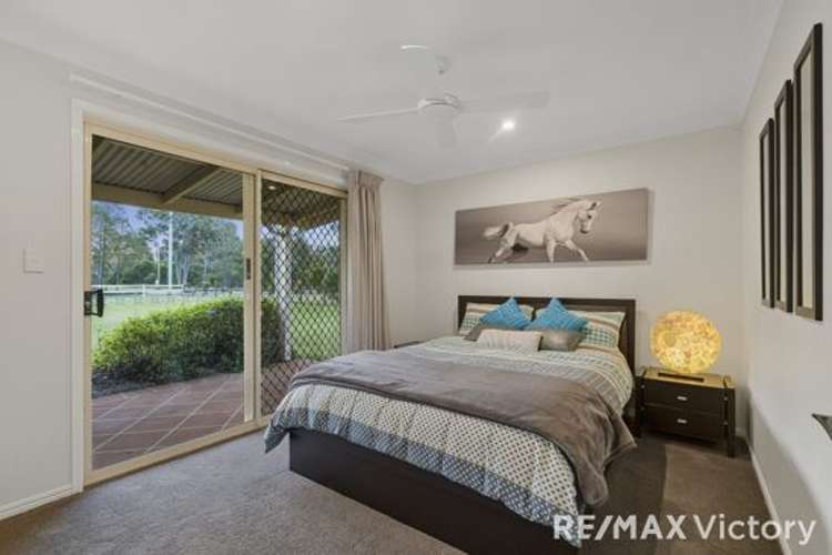 Seventh view of Homely acreageSemiRural listing, 307 Bishop Road, Beachmere QLD 4510
