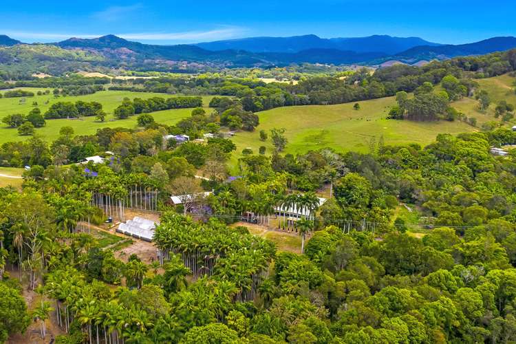 Main view of Homely house listing, 171 Billinudgel Road, Billinudgel NSW 2483