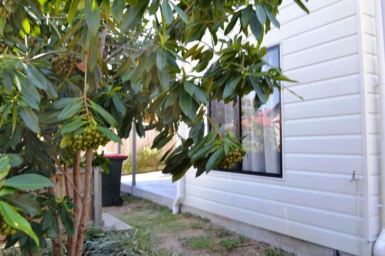 Main view of Homely studio listing, 4c Colville Street, Highgate Hill QLD 4101