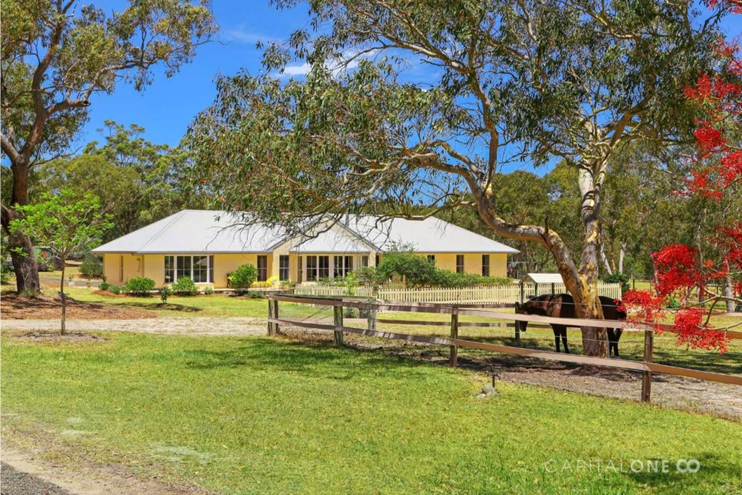 Main view of Homely acreageSemiRural listing, 71 Maroney Road, Mangrove Mountain NSW 2250