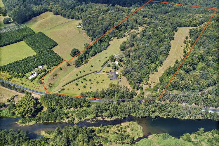 Third view of Homely acreageSemiRural listing, 2455 Waterfall Way, Bellingen NSW 2454