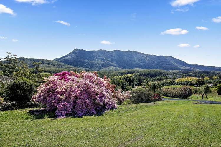 Fourth view of Homely acreageSemiRural listing, 2455 Waterfall Way, Bellingen NSW 2454