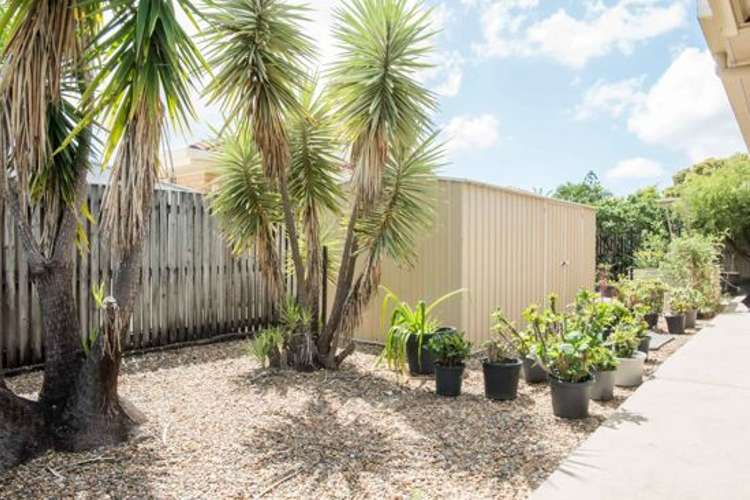 Fifth view of Homely house listing, 3/3 Ribbon Court, Glenella QLD 4740