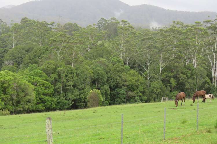 Second view of Homely ruralOther listing, 532 Newee Creek Road, Macksville NSW 2447