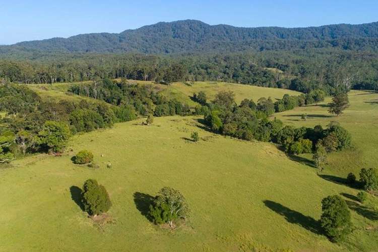 Fourth view of Homely ruralOther listing, 532 Newee Creek Road, Macksville NSW 2447