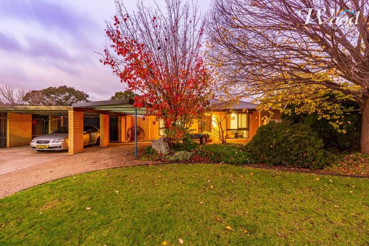 Main view of Homely house listing, 38 Goolagar Cres, Lavington NSW 2641