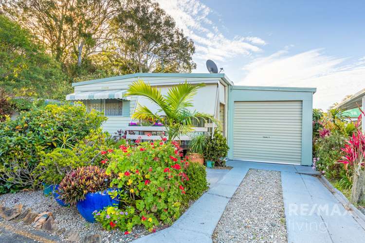 Main view of Homely retirement listing, Villa 105/764 Morayfield Road, Pine Village Lifestyle Resort, Burpengary QLD 4505