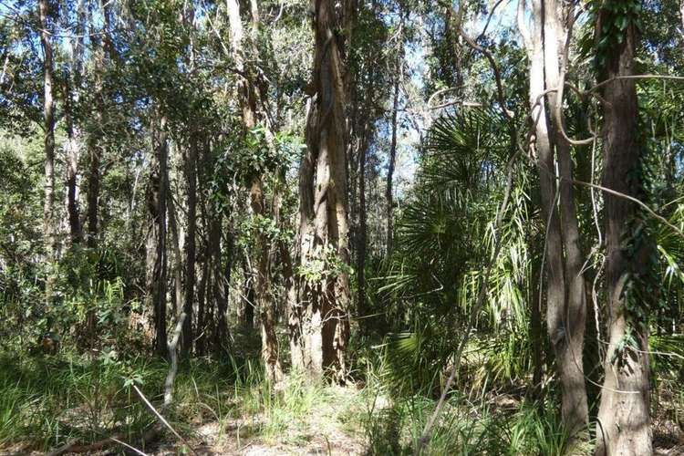 Fourth view of Homely lifestyle listing, Lot 29 Coast Road, Baffle Creek QLD 4674