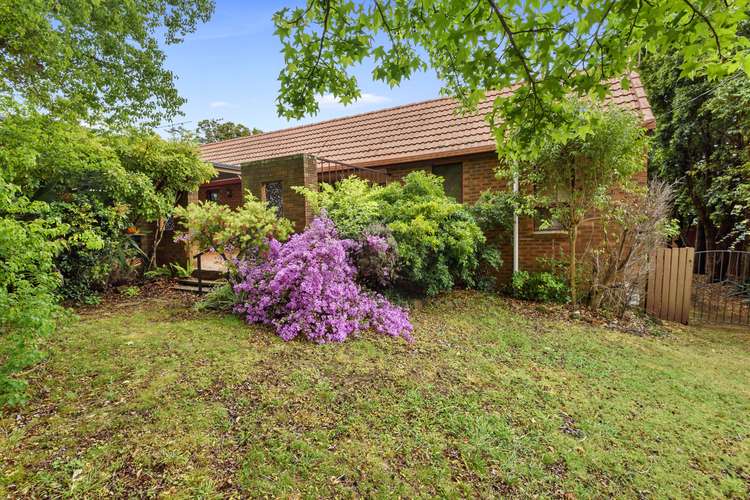 Main view of Homely house listing, 127 Alderley Street, Rangeville QLD 4350