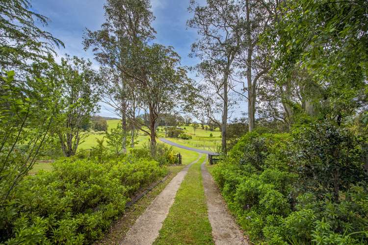 Third view of Homely acreageSemiRural listing, 124 Upper Bobo Road, Brooklana NSW 2450