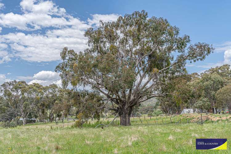 Fifth view of Homely residentialLand listing, 17 Invergowrie Road, Armidale NSW 2350