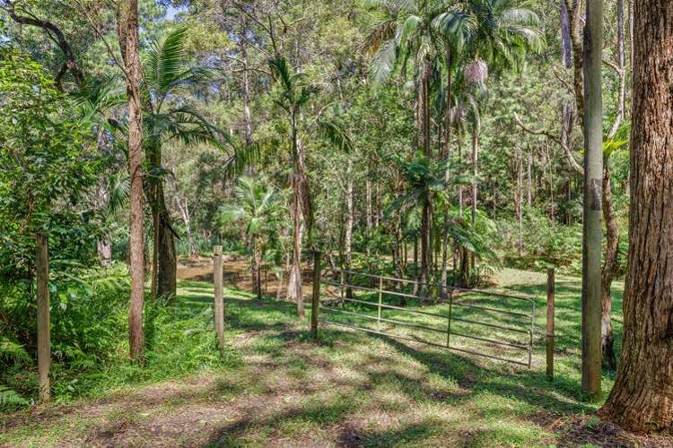 Fifth view of Homely residentialLand listing, 176 Flaxton Mill Road, Flaxton QLD 4560