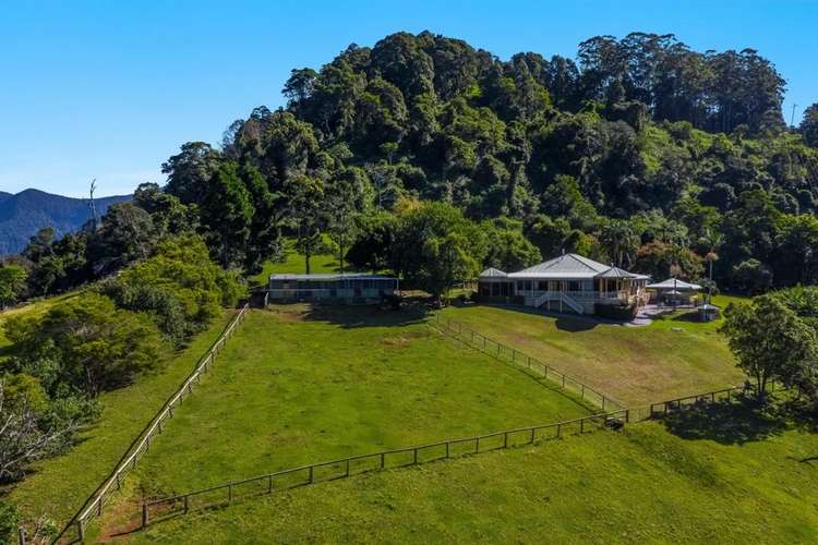 Fifth view of Homely house listing, 2407 Numinbah Rd, Numinbah NSW 2484