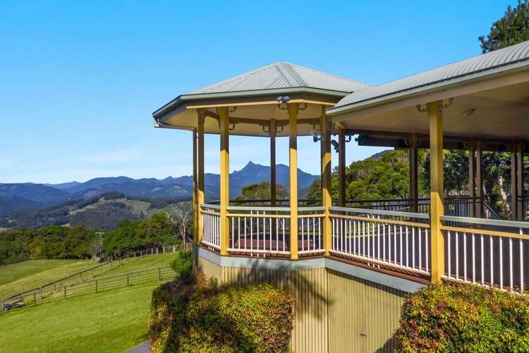 Sixth view of Homely house listing, 2407 Numinbah Rd, Numinbah NSW 2484