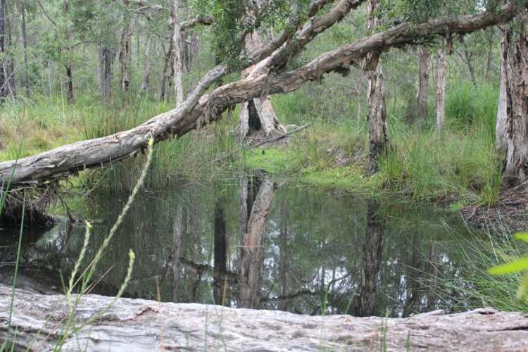 Second view of Homely ruralOther listing, Lot 1, 75 Barcoongere Way, Corindi Beach NSW 2456