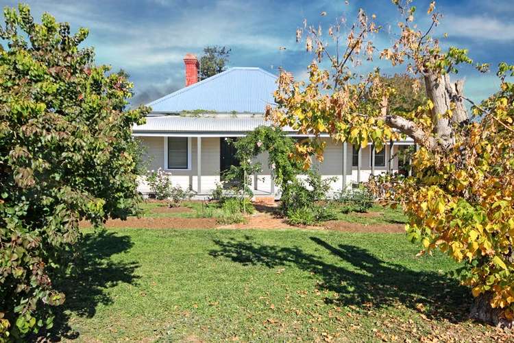 Third view of Homely house listing, 91 St Aubins Street, Scone NSW 2337