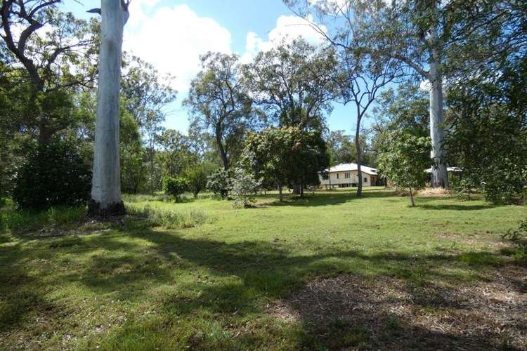 Fourth view of Homely lifestyle listing, 291 Muller Road, Baffle Creek QLD 4674