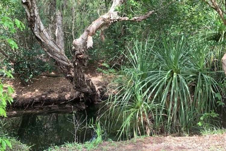 Fourth view of Homely acreageSemiRural listing, 6375 Stuart Hwy, Coomalie Creek NT 822