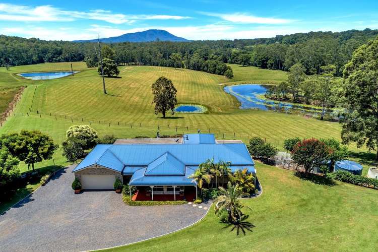 Fifth view of Homely acreageSemiRural listing, 299 Elliots Road, Tamban NSW 2441