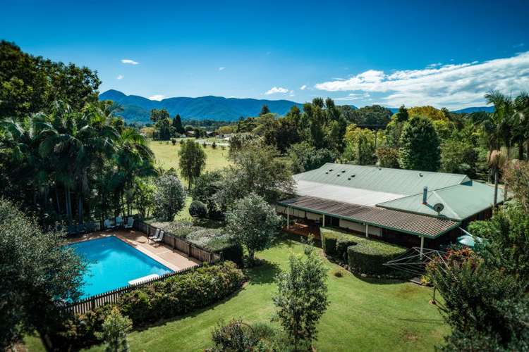 Main view of Homely acreageSemiRural listing, 1605 Waterfall Way, Bellingen NSW 2454