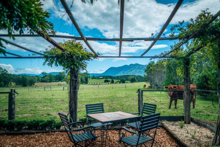 Fifth view of Homely acreageSemiRural listing, 1605 Waterfall Way, Bellingen NSW 2454