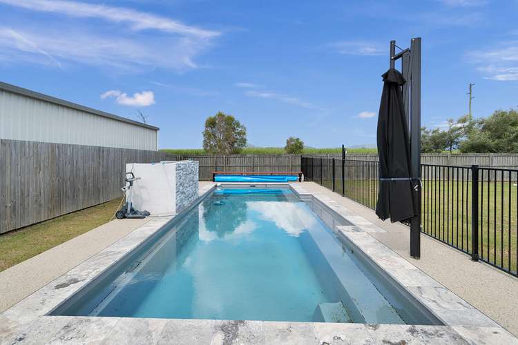 Second view of Homely house listing, 29 Patricia Circuit, Mirani QLD 4754