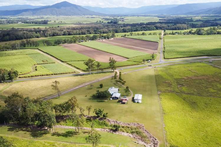 Second view of Homely house listing, 264 Owens Creek Loop Road, Gargett QLD 4741