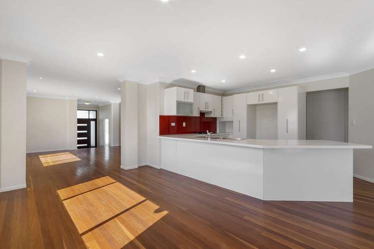 Main view of Homely house listing, 19 Gaynesford Street, Mount Gravatt QLD 4122