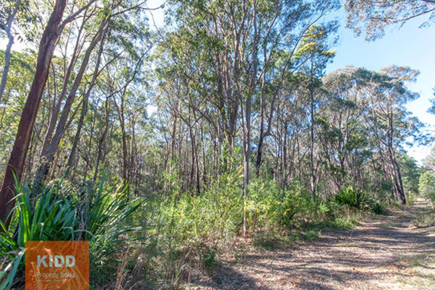 Main view of Homely ruralOther listing, 600 Kyola Road, Kulnura NSW 2250