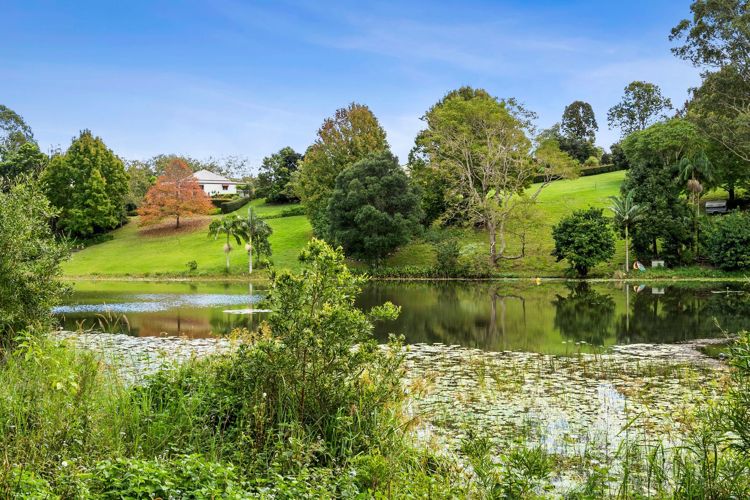 Main view of Homely house listing, 58 Akala Street, Flaxton QLD 4560