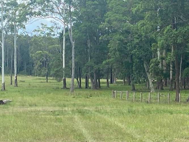 Seventh view of Homely lifestyle listing, LOT 1 SEALE ROAD, Verges Creek NSW 2440