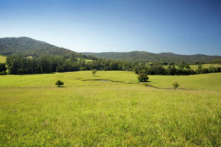Second view of Homely acreageSemiRural listing, 1251 South Arm Rd, South Arm NSW 2449