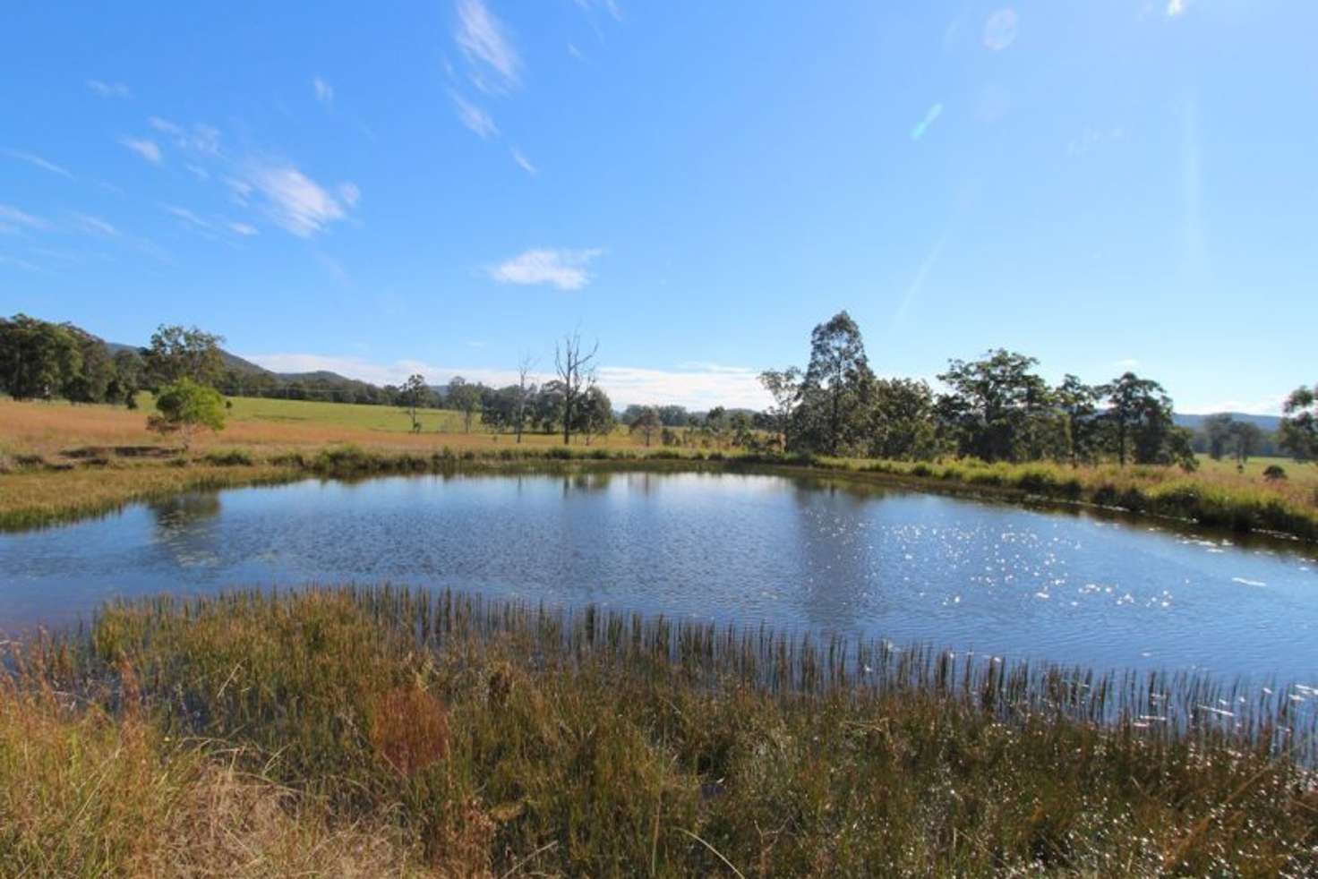 Main view of Homely ruralOther listing, 114 Tritton Road, Possum Brush NSW 2430