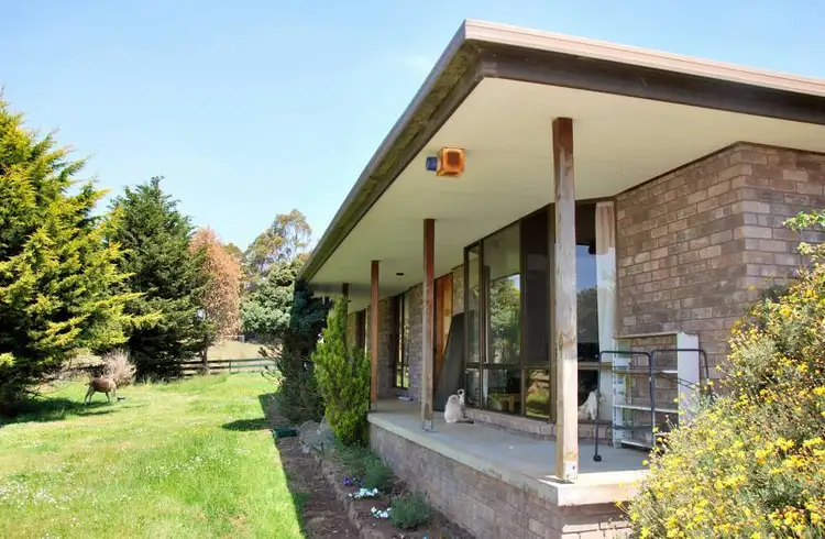 Third view of Homely rural property listing, 1749 Nugent Road, Nugent TAS 7172