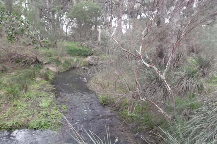 Main view of Homely residentialLand listing, Curtin Road, Ballandean QLD 4382