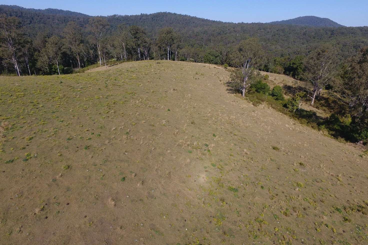 Main view of Homely mixedFarming listing, 283 O'Neills Road, Bentley NSW 2480