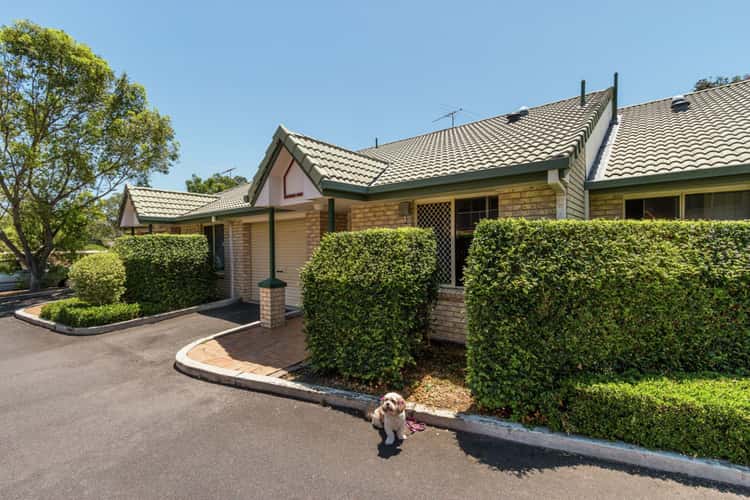 Main view of Homely townhouse listing, 6/344 Pine Mountain Road, Carina Heights QLD 4152