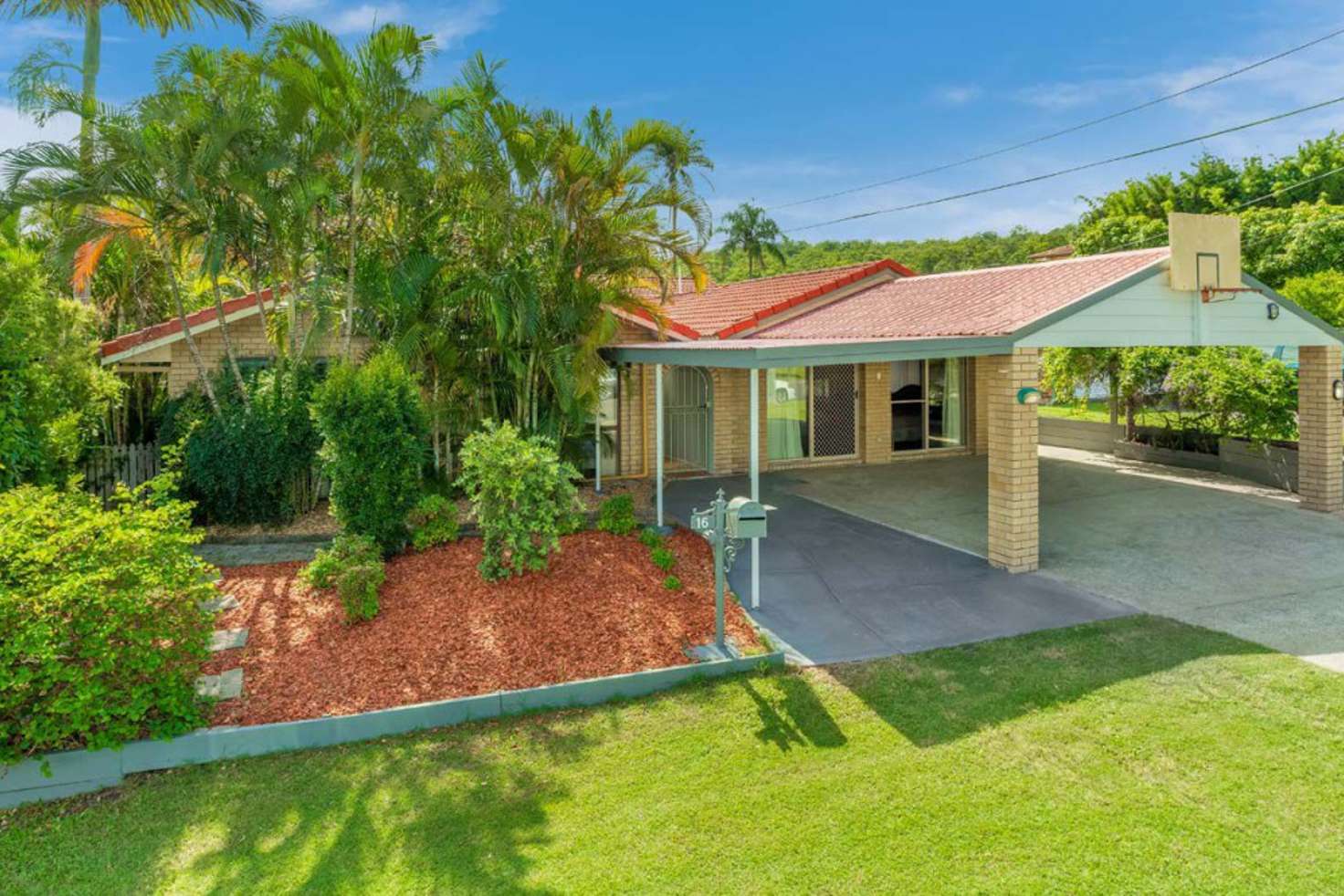 Main view of Homely house listing, 16 Hibbertia Court, Springwood QLD 4127