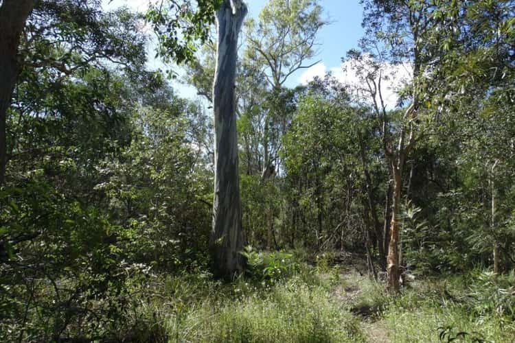 Fifth view of Homely lifestyle listing, Lot 13 Muller Road, Baffle Creek QLD 4674