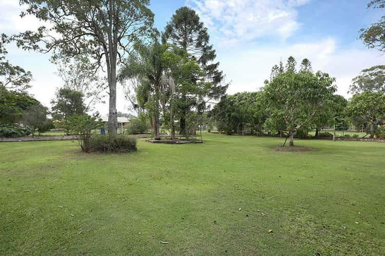 Main view of Homely house listing, 141 Caboolture River Road, Morayfield QLD 4506