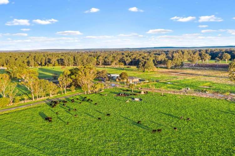 224 Lower Settlement Road, Pearsondale VIC 3851